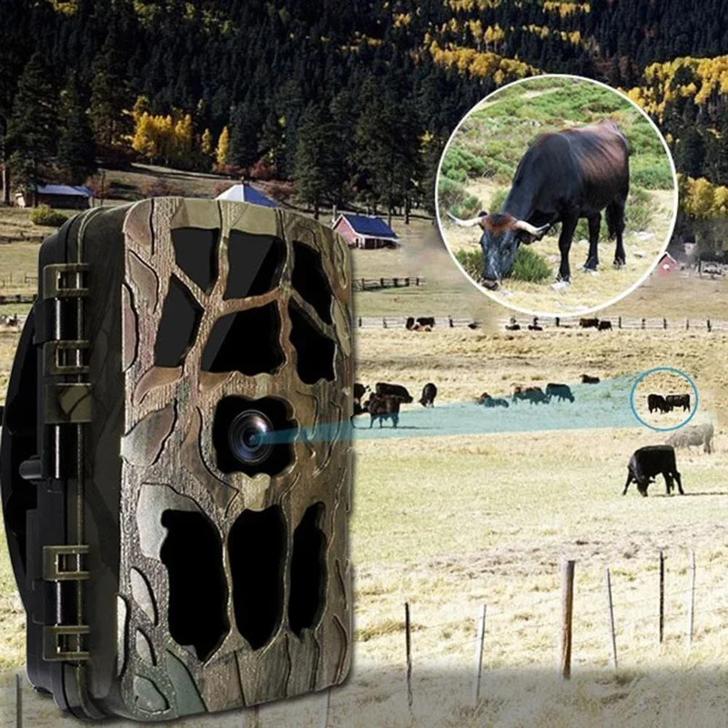 H982 IP66 مقاوم للماء 4K الأشع - مراجعة Outdoor Hunting Images وسعره
